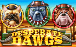 Desperate Dawgs